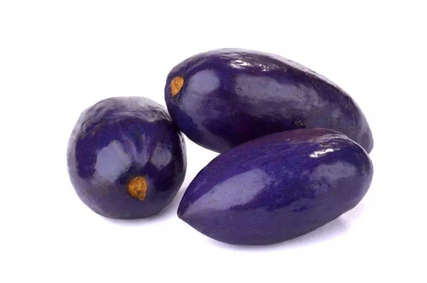 Safou (Prune d'Afrique)